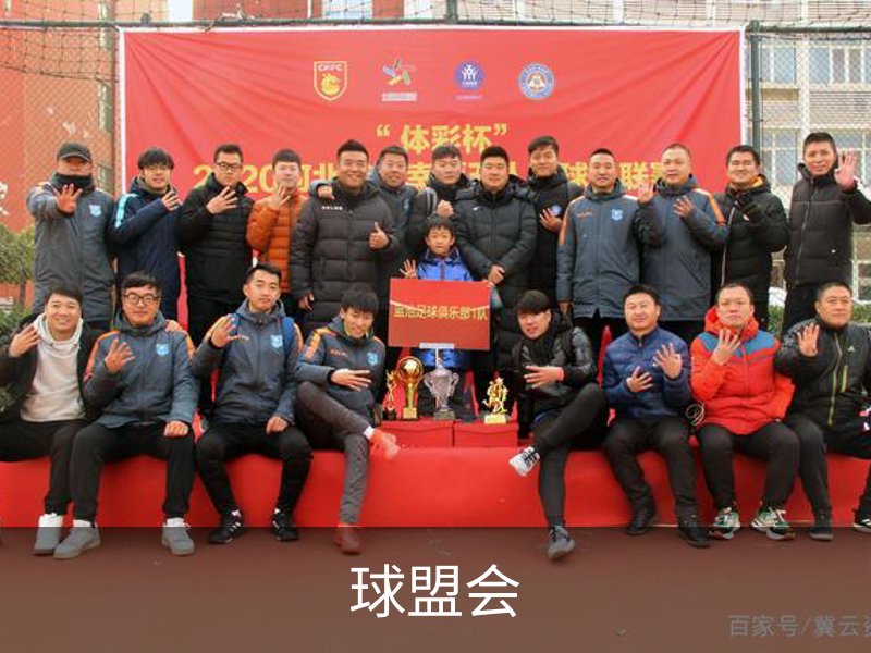球盟会介绍
